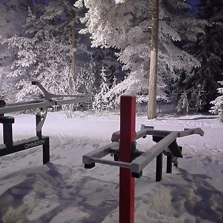 Wolf Street Gem, Free Parking N Nearby Bus Stop * 罗瓦涅米