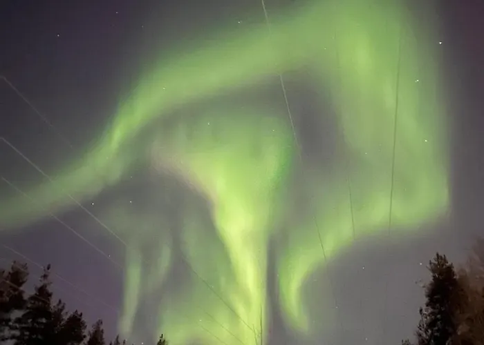 Wolf Street Gem, Free Parking N Nearby Bus Stop