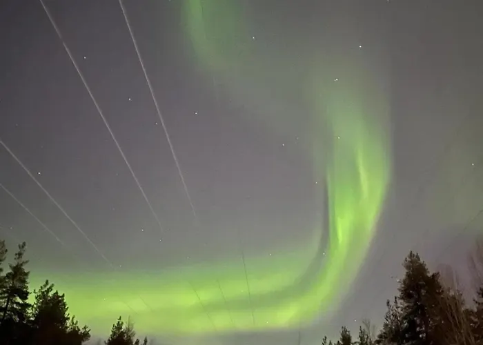 Wolf Street Gem, Free Parking N Nearby Bus Stop 公寓 *