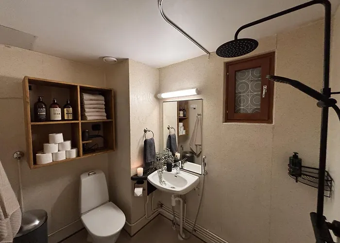 Wolf Street Gem, Free Parking N Nearby Bus Stop 罗瓦涅米